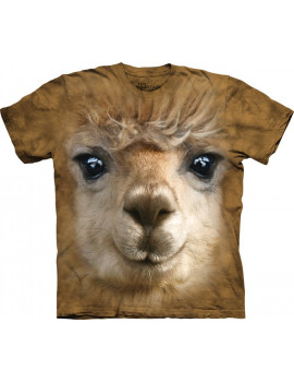 Big Face Alpaca