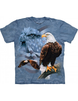 Faded Flag Eagles