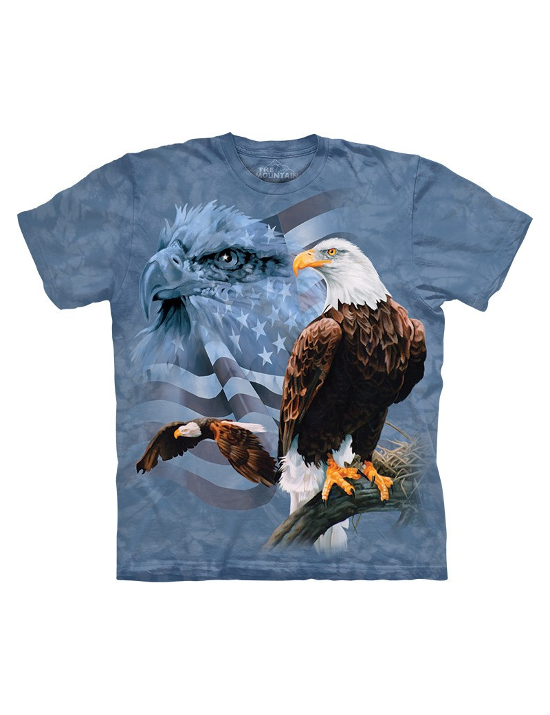 Faded Flag Eagles