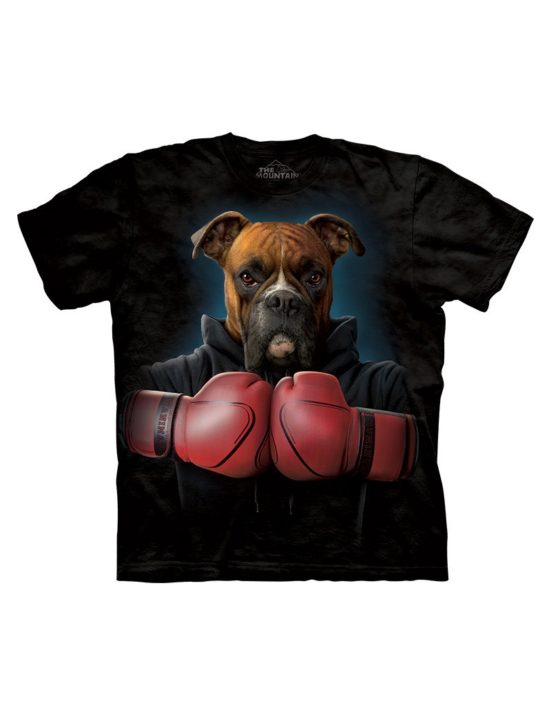Boxer Rocky