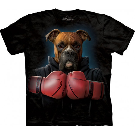 Boxer Rocky