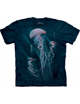 Jellyfish