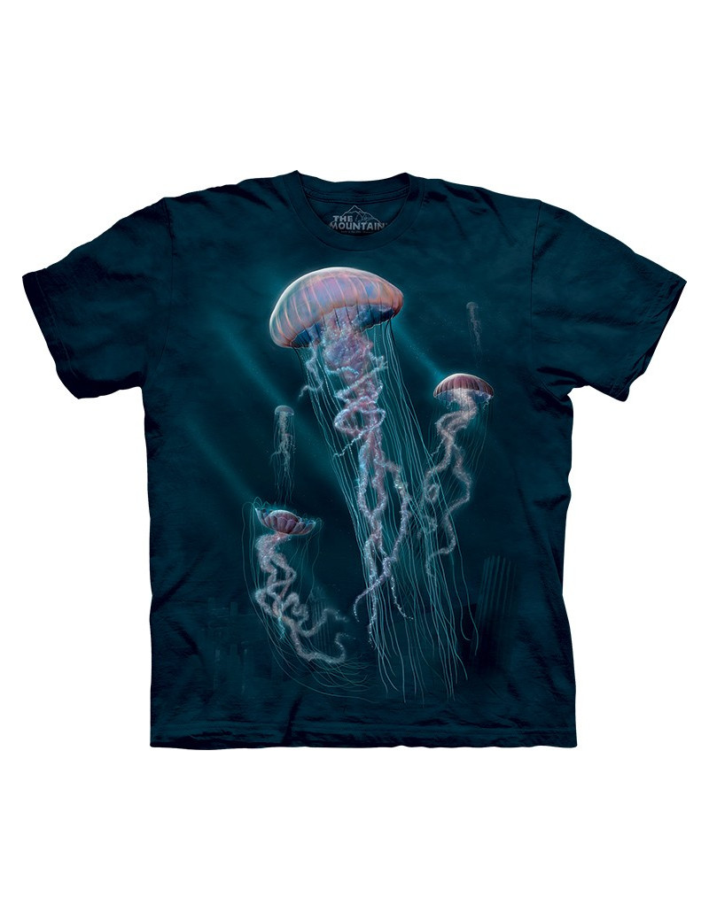 Jellyfish