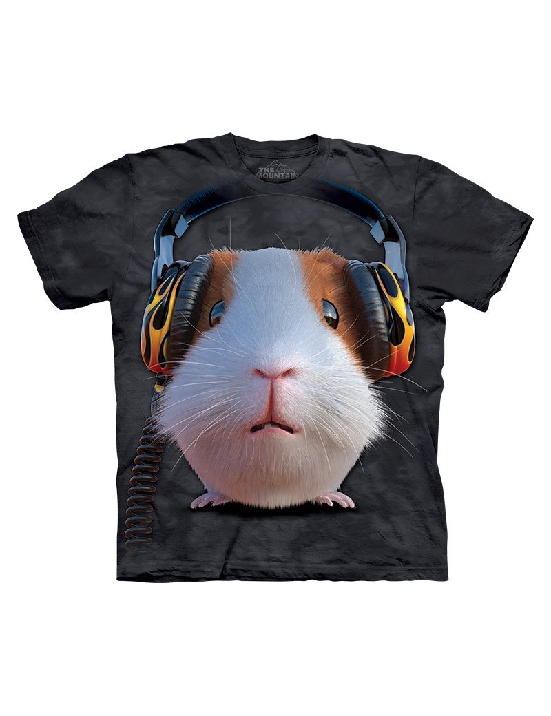 DJ Guinea Pig