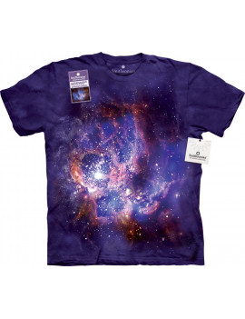 Star Forming Region Of Ngc 604