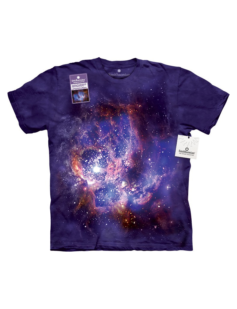 Star Forming Region Of Ngc 604