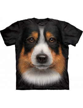 Australian Shepherd