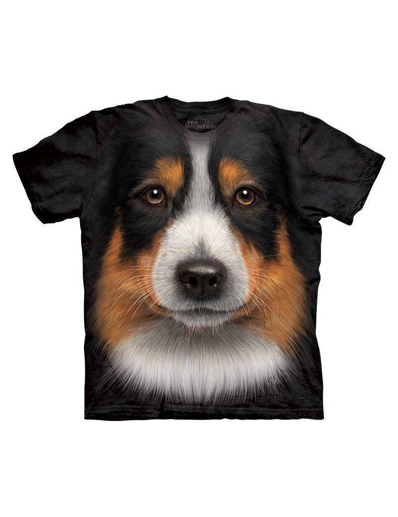 Australian Shepherd