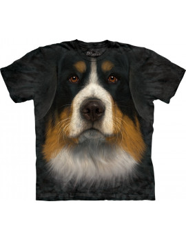 Bernese Mountain Dog Face