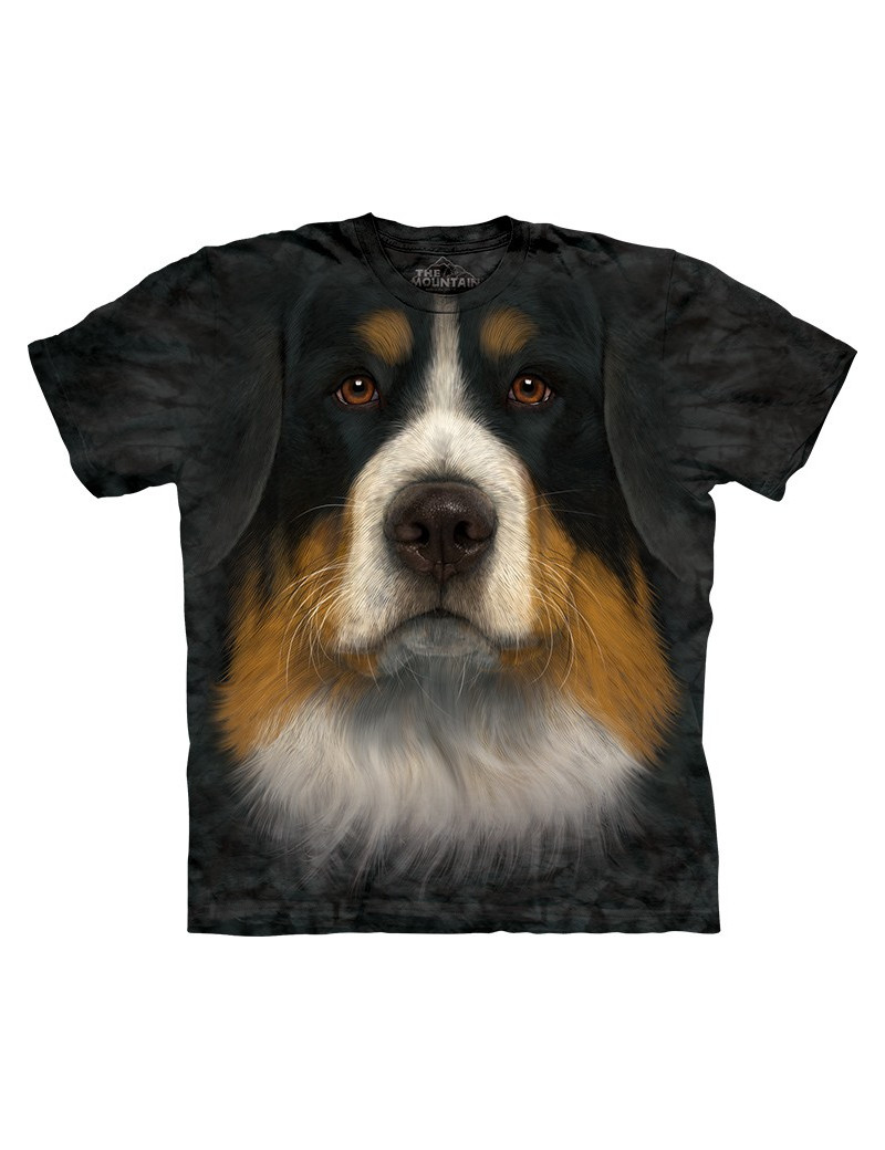 Bernese Mountain Dog Face