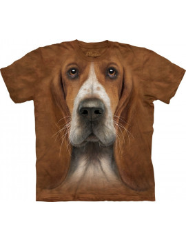 Basset Hound Head