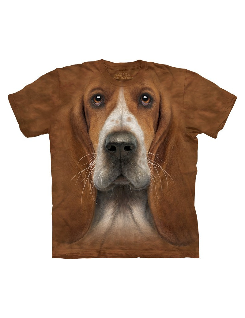 Basset Hound Head
