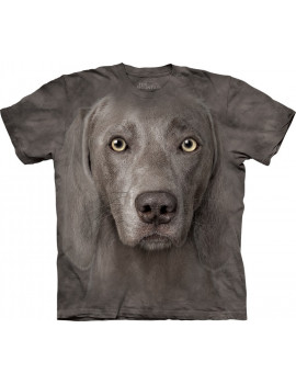 Weimaraner