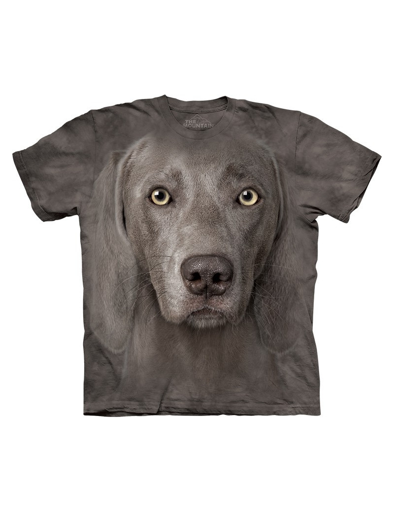 Weimaraner
