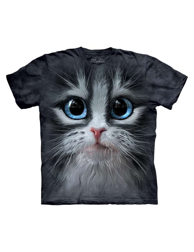 Cutie Pie Kitten Face