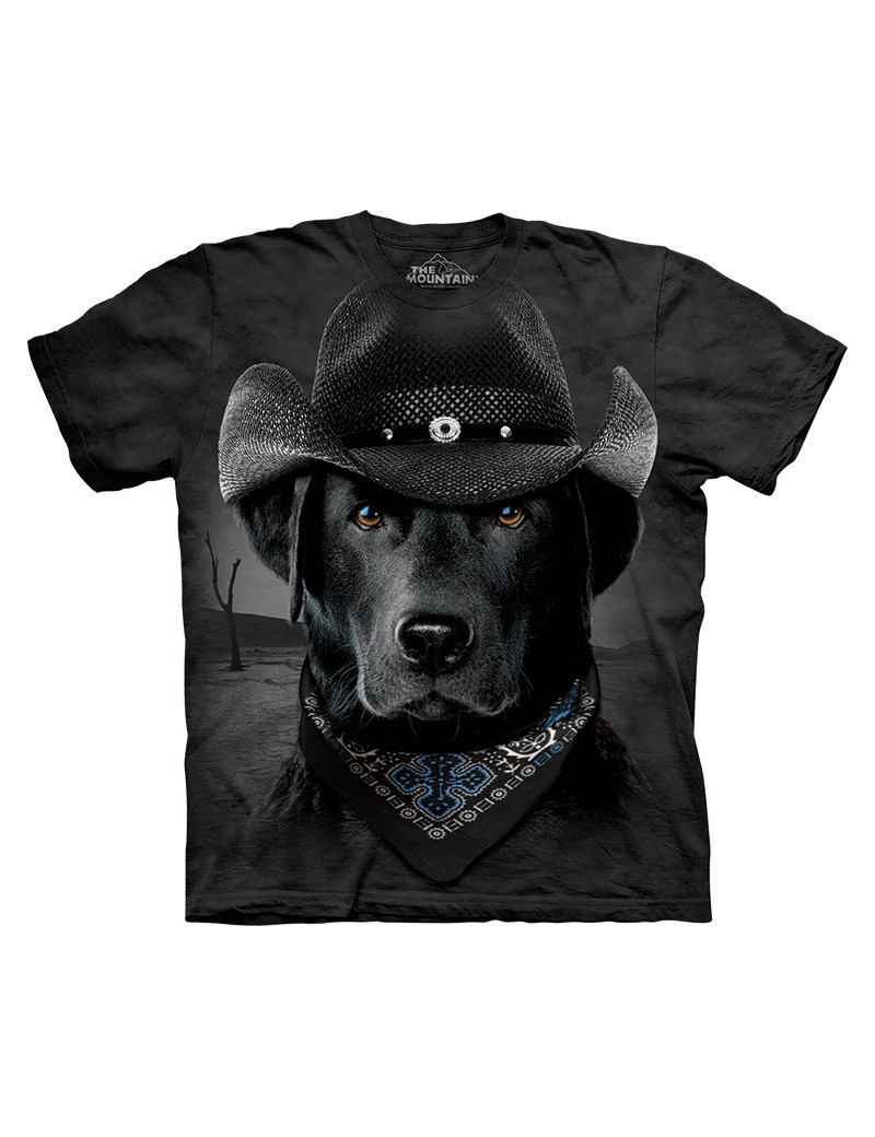 Cowboy Lab