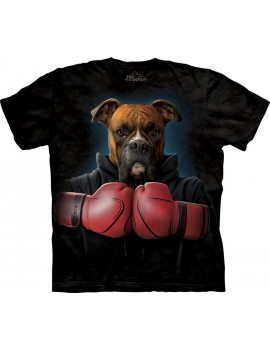 Boxer Rocky