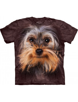 Yorkshire Terrier Face