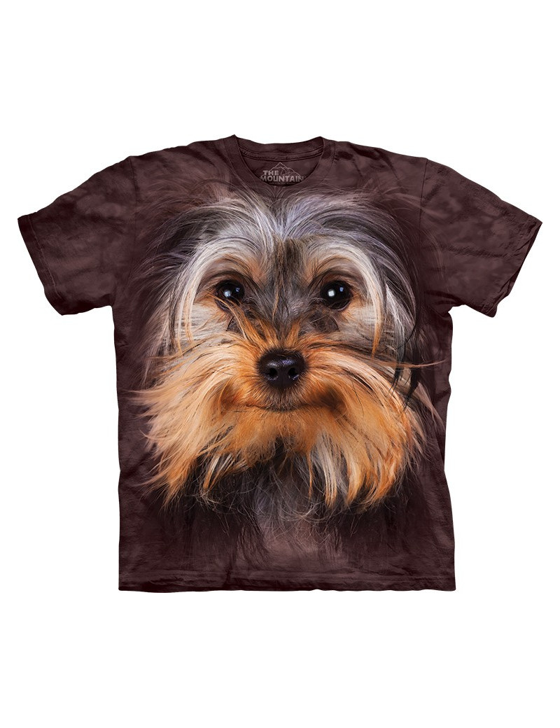 Yorkshire Terrier Face