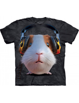 DJ Guinea Pig