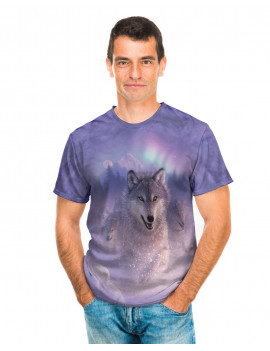 Northern Lights T-Shirt The Mountain