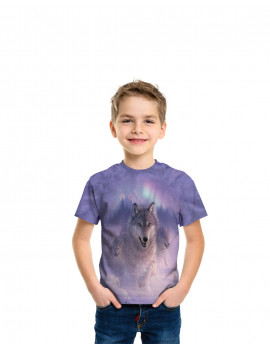 Northern Lights T-Shirt The Mountain