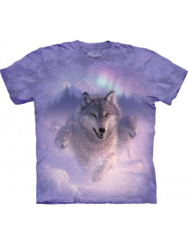 Northern Lights T-Shirt The Mountain