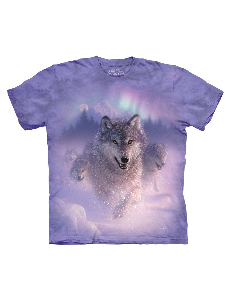 Northern Lights T-Shirt The Mountain