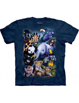 A Rare Occasion T-Shirt The Mountain