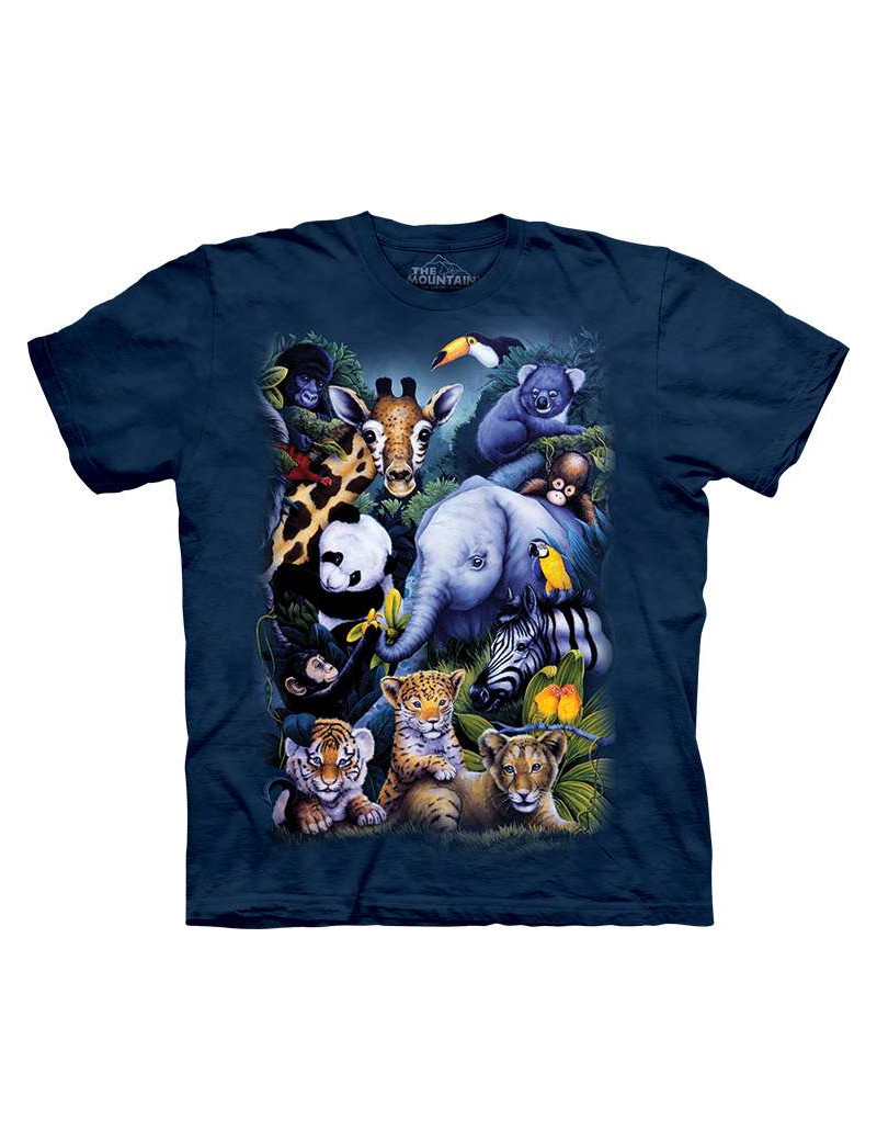 A Rare Occasion T-Shirt The Mountain