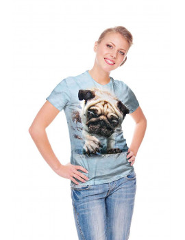 Underwater Duncan T-Shirt The Mountain