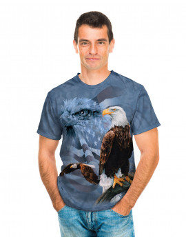 Faded Flag Eagles T-Shirt