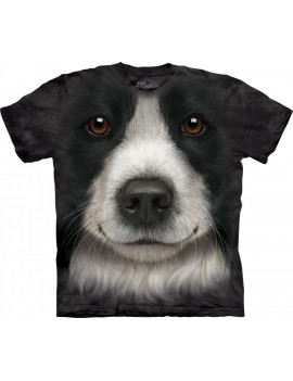 Border Collie Face
