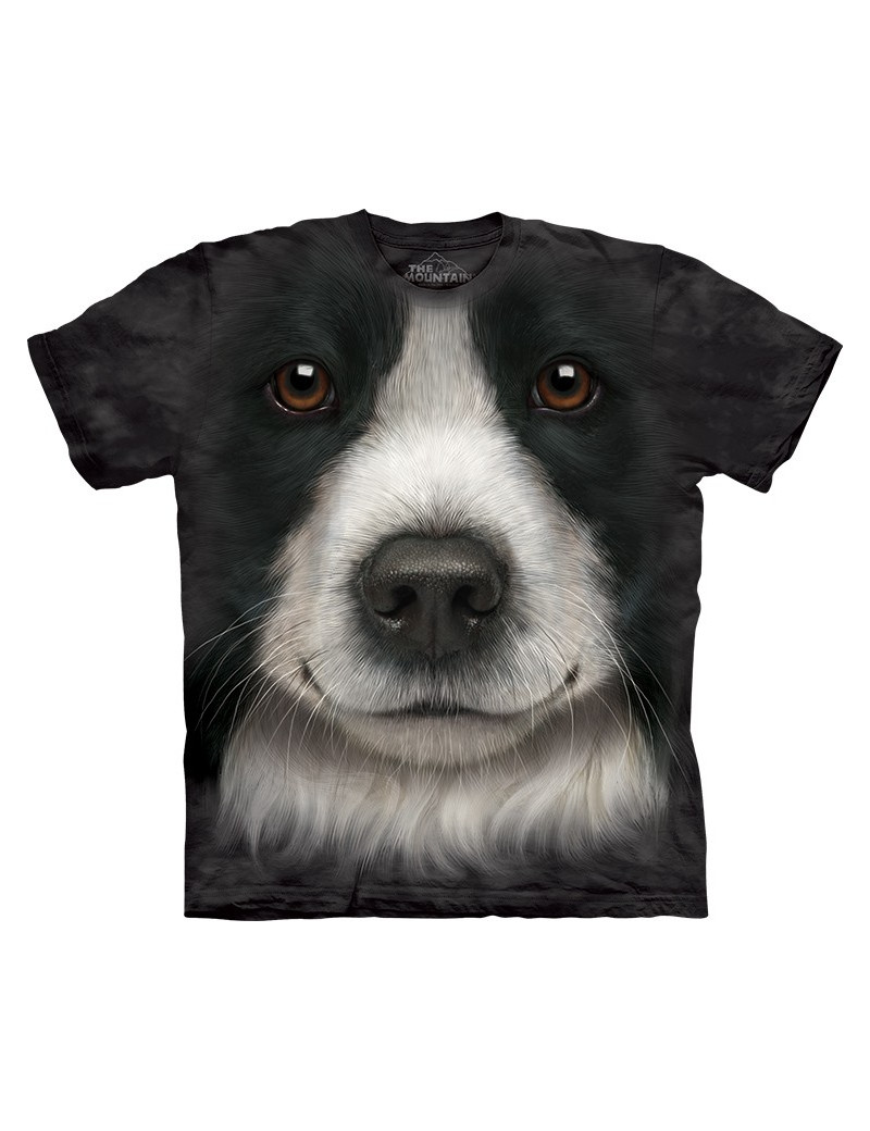 Border Collie Face