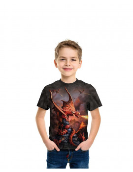 Fire Dragon T-Shirt The Mountain
