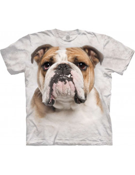 It's a Bulldog Portrait