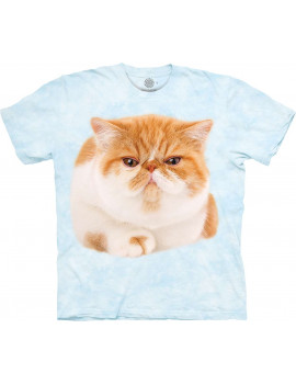Round Orange Cat T-Shirt