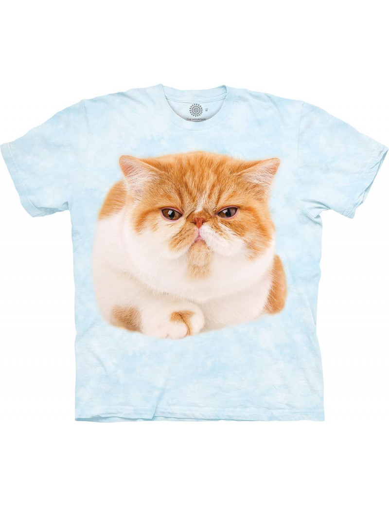 Round Orange Cat T-Shirt