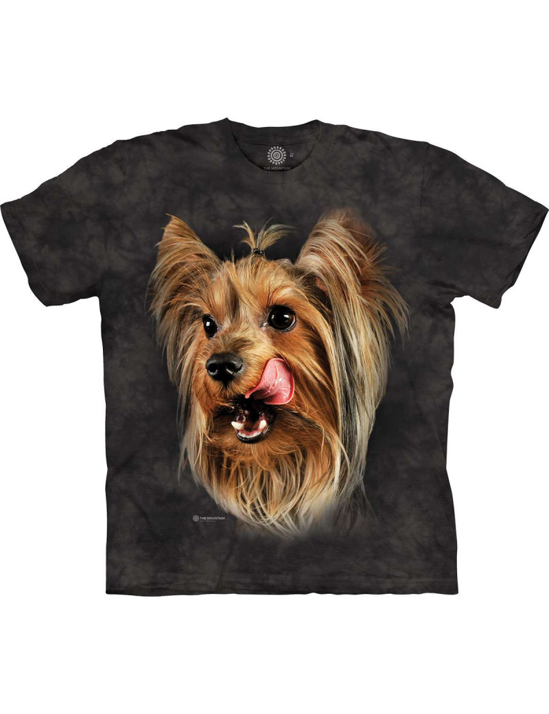 Yorkshire Terrier Portrait
