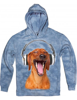 Dachshund Listen Music in Headphones Hoodie