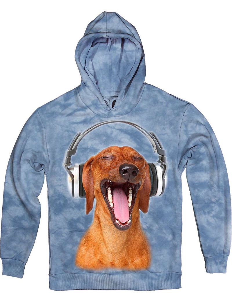 Dachshund Listen Music in Headphones Hoodie