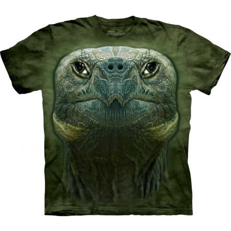 Turtle Head