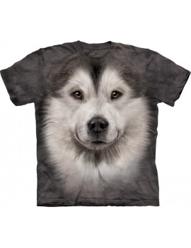 Alaskan Malamute Face