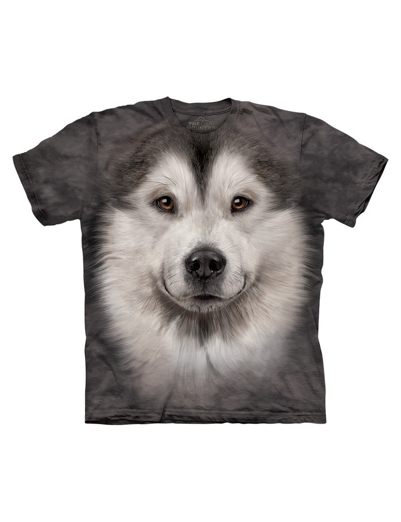 Alaskan Malamute Face