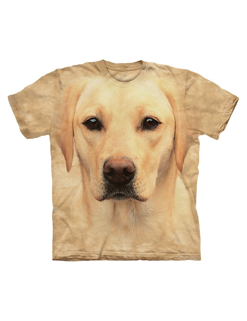 Yellow Lab Portrait