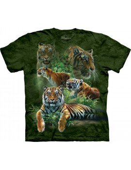 Jungle Tigers